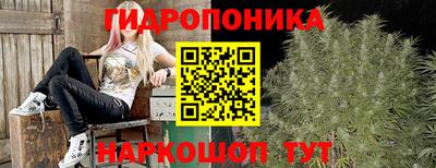 тгк Мариинск