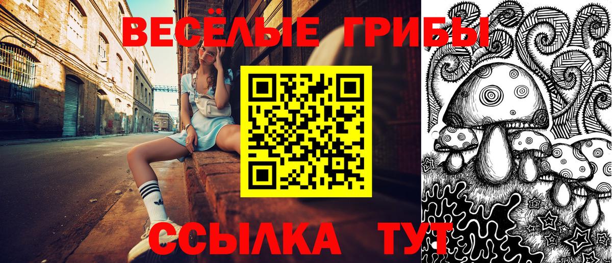 Галлюциногенные грибы Cubensis Дедовск