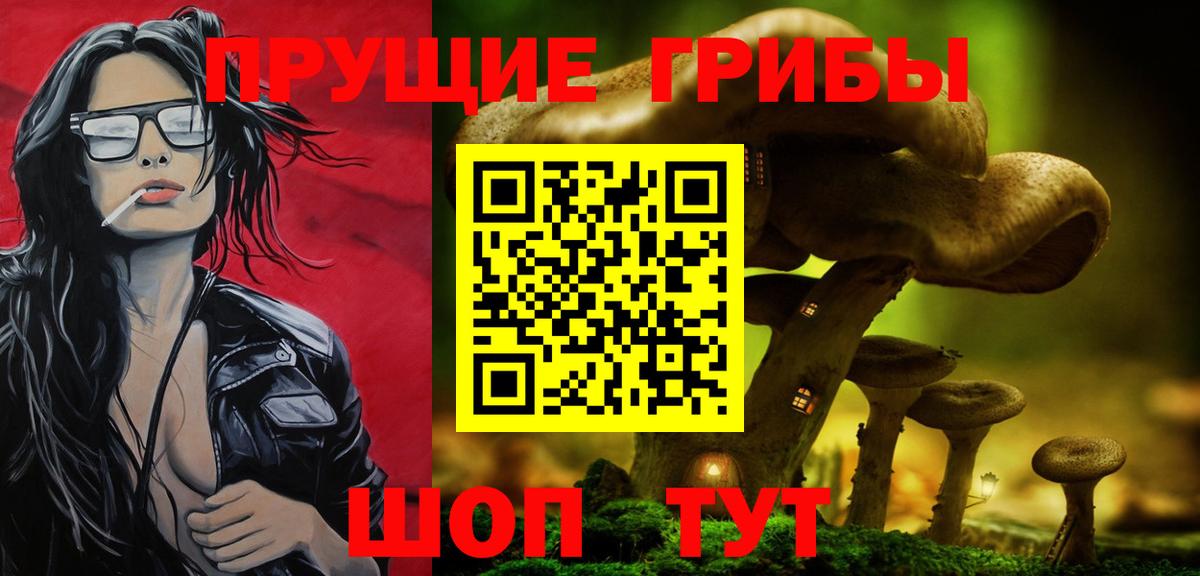 Галлюциногенные грибы прущие грибы  Вход с VPN  Псилоцибиновые грибы мицелий  Дедовск 